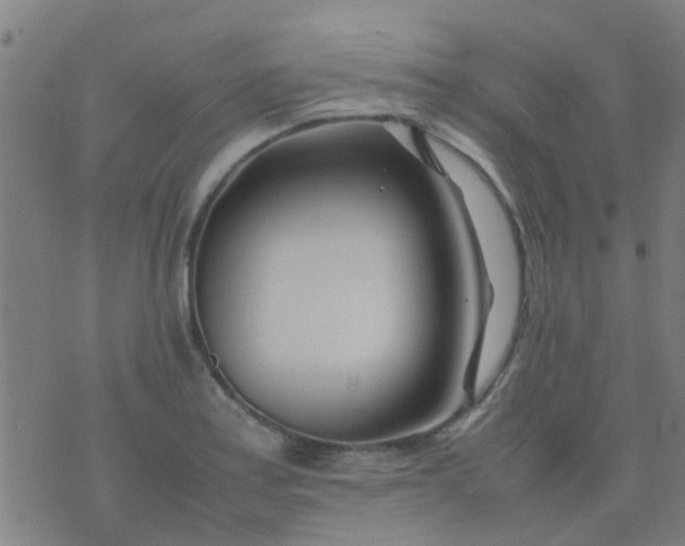 X0000074291179200609081844