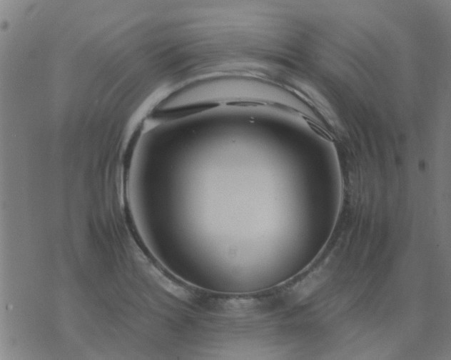 X0000074291180200609081844