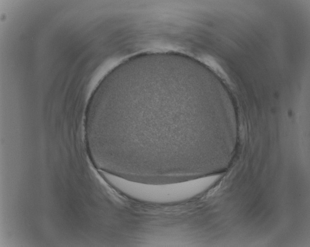 X0000074291183200609081844