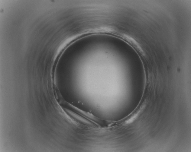 X0000074291184200609081844