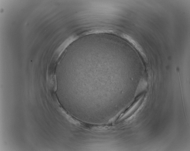 X0000074291185200609081844