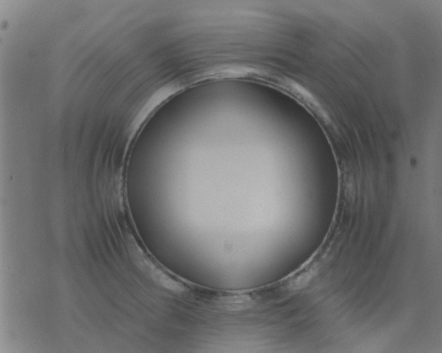 X0000074291186200609081844