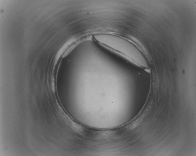 X0000074291188200609081844