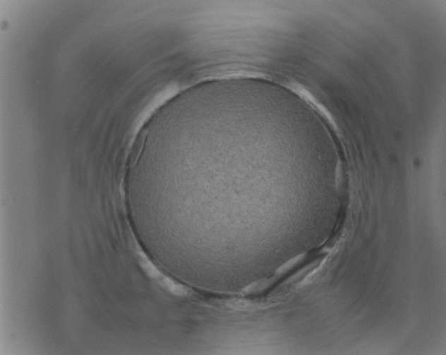 X0000074291189200609081844