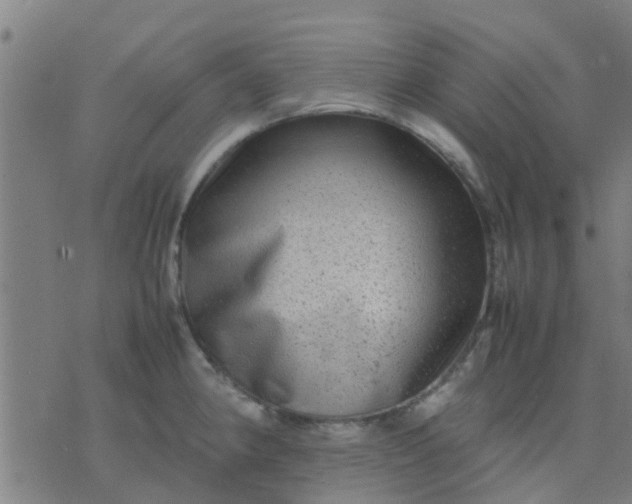 X0000074291190200609081844