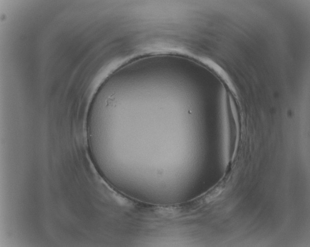 X0000074291191200609081844