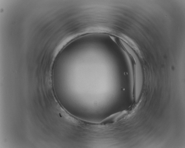 X0000074291192200609081844