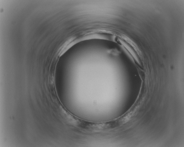 X0000074291193200609081844