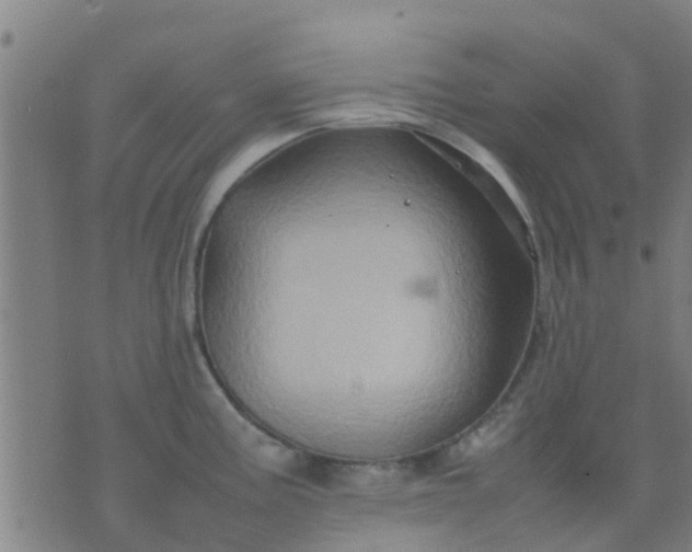 X0000074291195200609081844