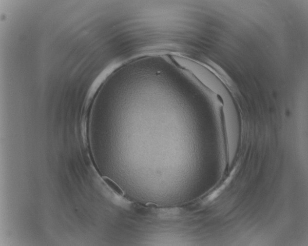 X0000074291196200609081844