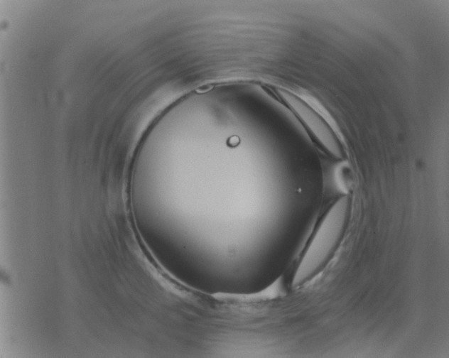 X0000074291197200609081844