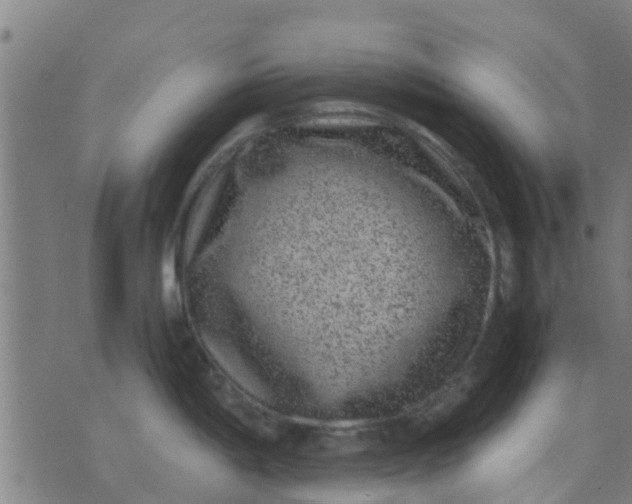 X0000074291198200609081844