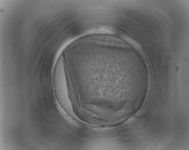 X0000074291200200609081844