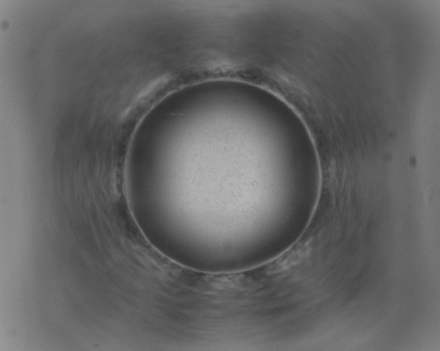 X0000074291205200609081843