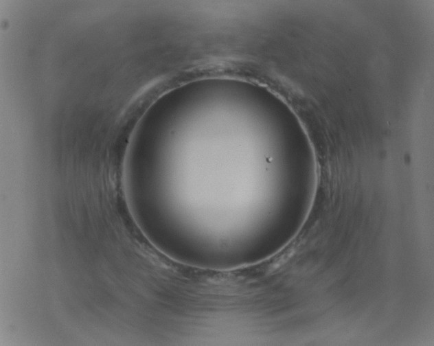 X0000074291206200609081843