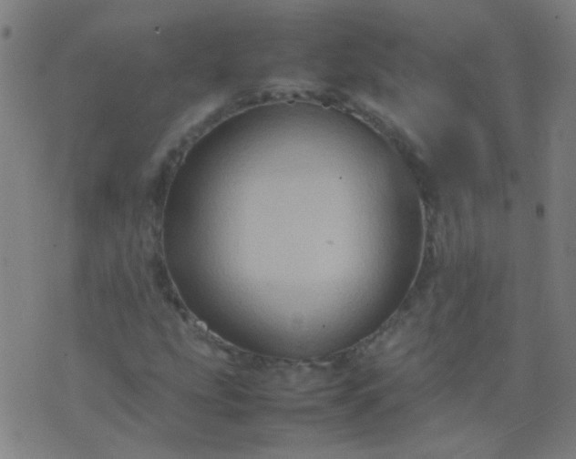 X0000074291207200609081843