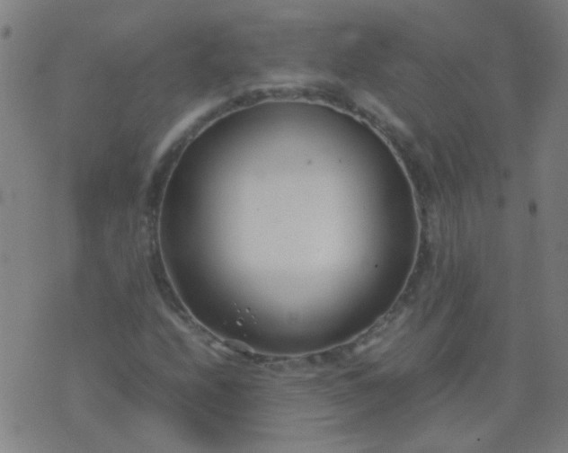 X0000074291208200609081843