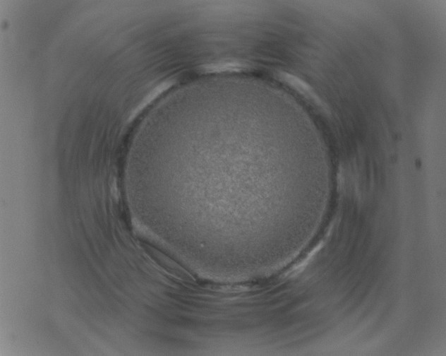 X0000074291209200609081843