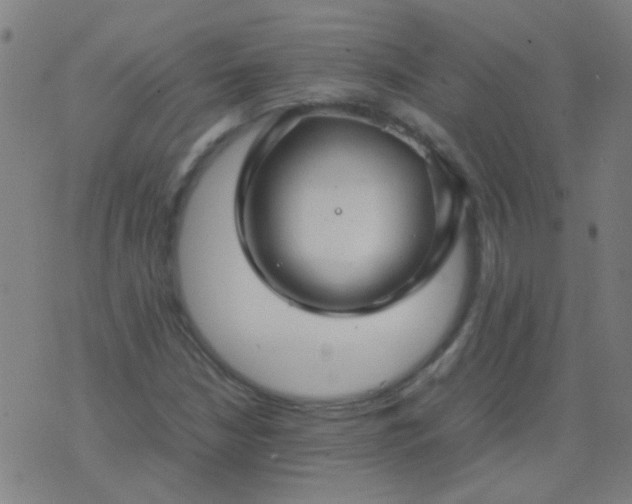 X0000074291210200609081843