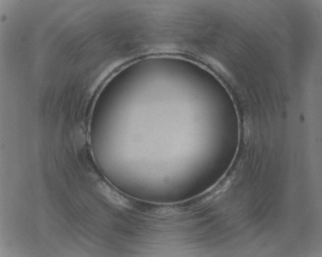 X0000074291212200609081843