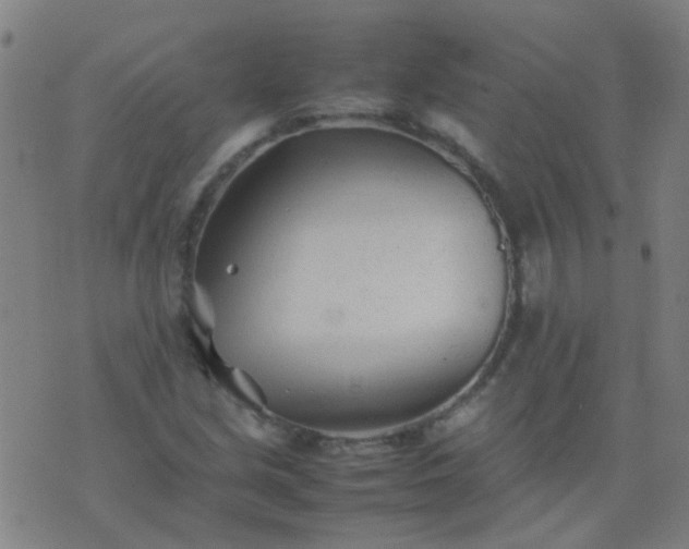 X0000074291213200609081843