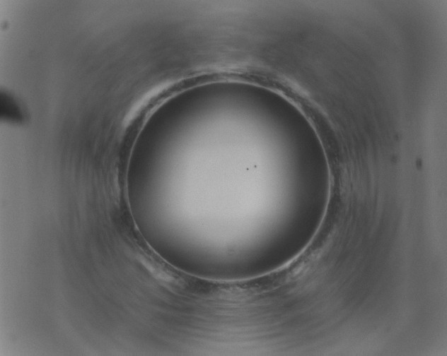 X0000074291214200609081843