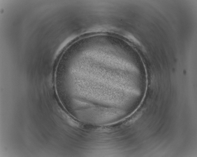 X0000074291216200609081843