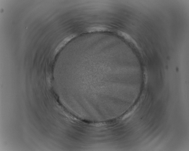 X0000074291217200609081843