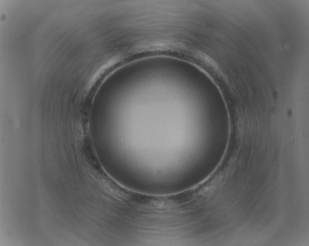 X0000074291218200609081843