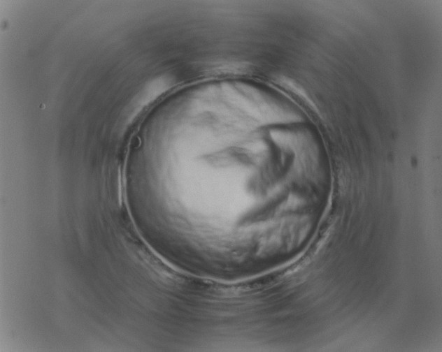 X0000074291219200609081843