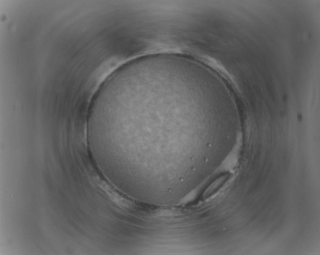 X0000074291220200609081843