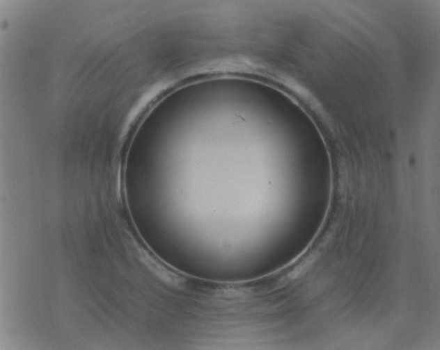 X0000074291224200609081844