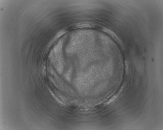 X0000074291225200609081844