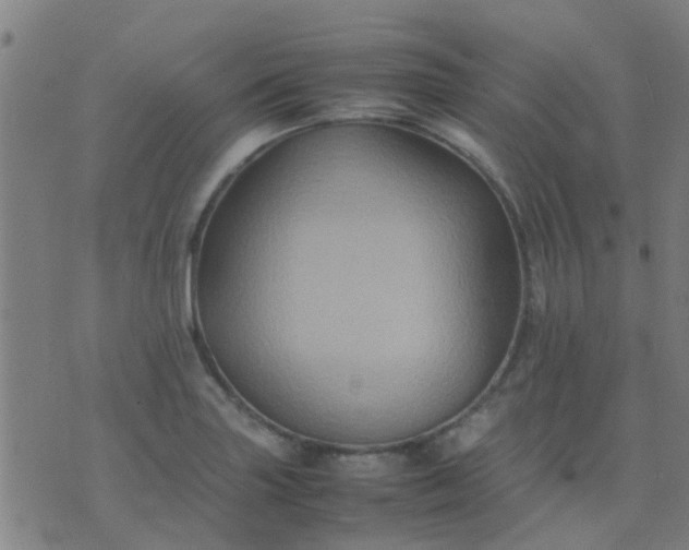 X0000074291227200609081844