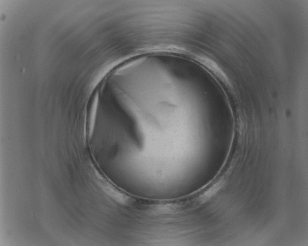 X0000074291228200609081844