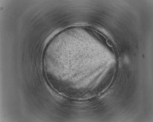 X0000074291229200609081844