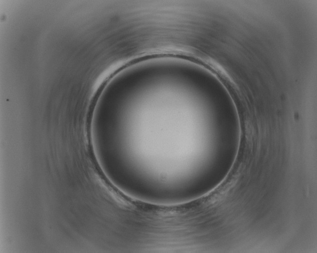 X0000074291230200609081844