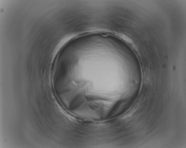 X0000074291231200609081844