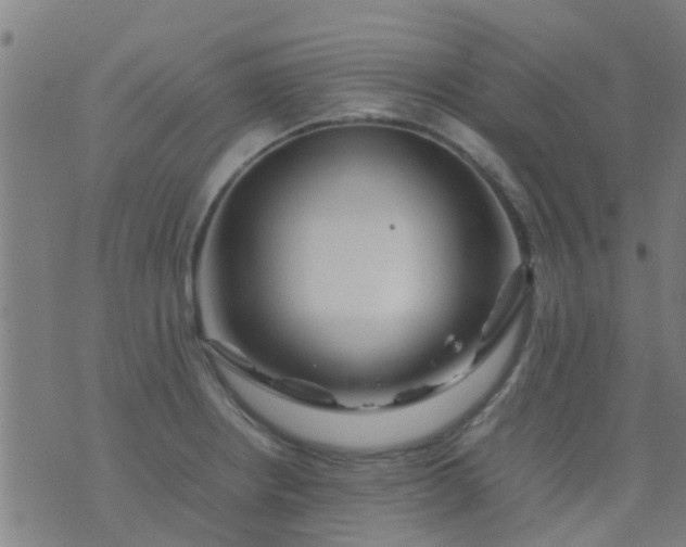 X0000074291234200609081844