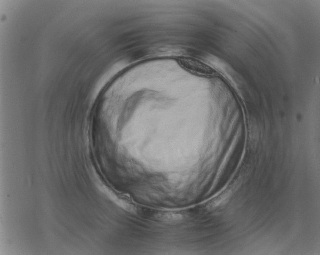 X0000074291235200609081844