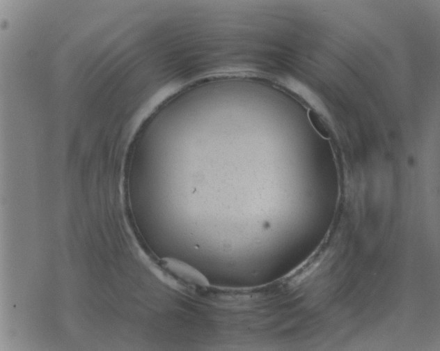 X0000074291237200609081844