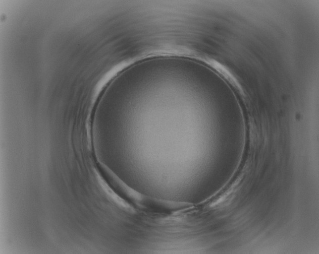 X0000074291238200609081844