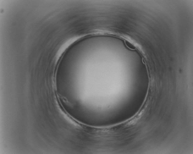 X0000074291239200609081844