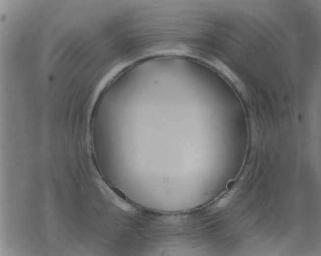 X0000074291240200609081844