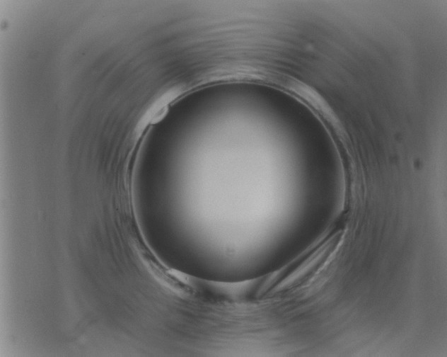 X0000074291242200609081844