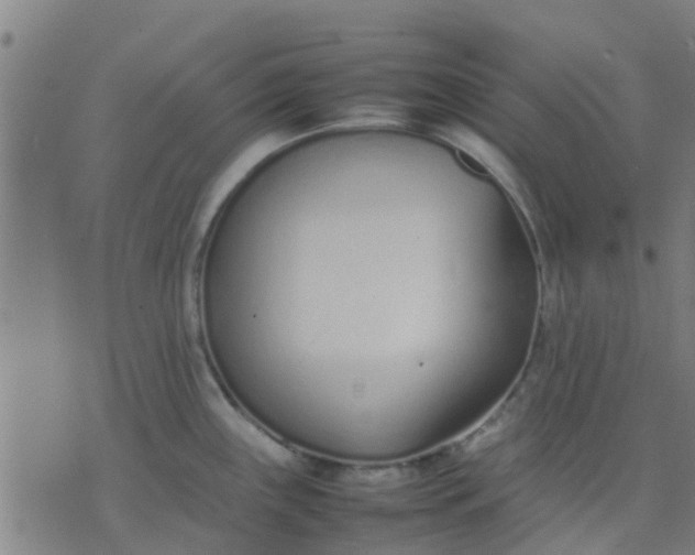 X0000074291243200609081844