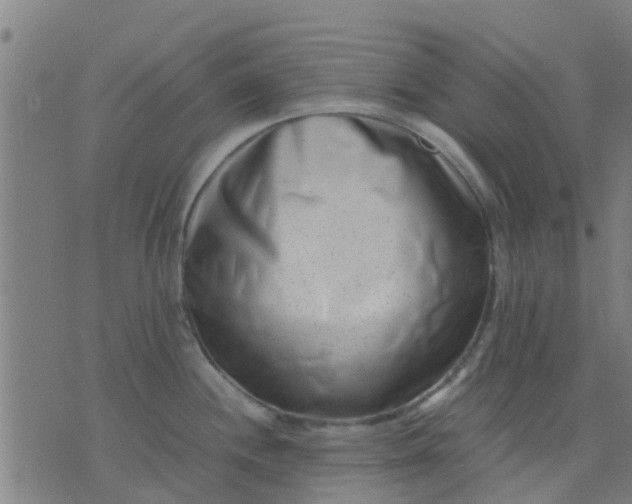 X0000074291244200609081844