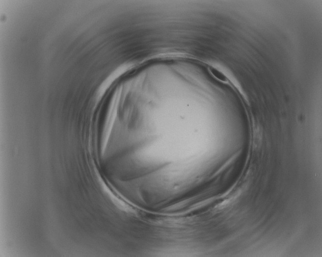 X0000074291245200609081844