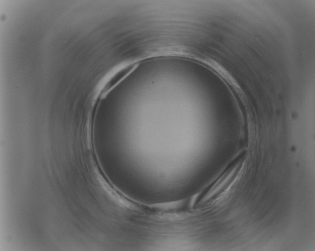 X0000074291246200609081844