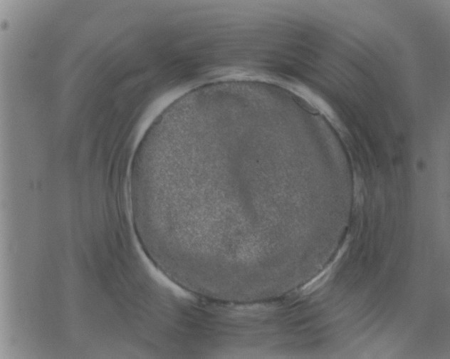 X0000074291247200609081844